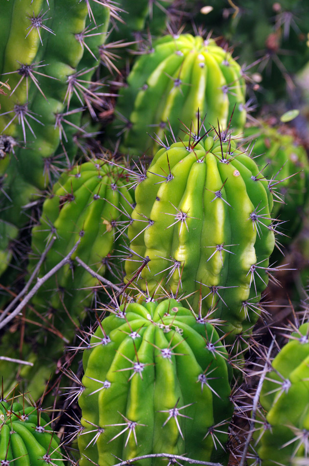 IMGP0840