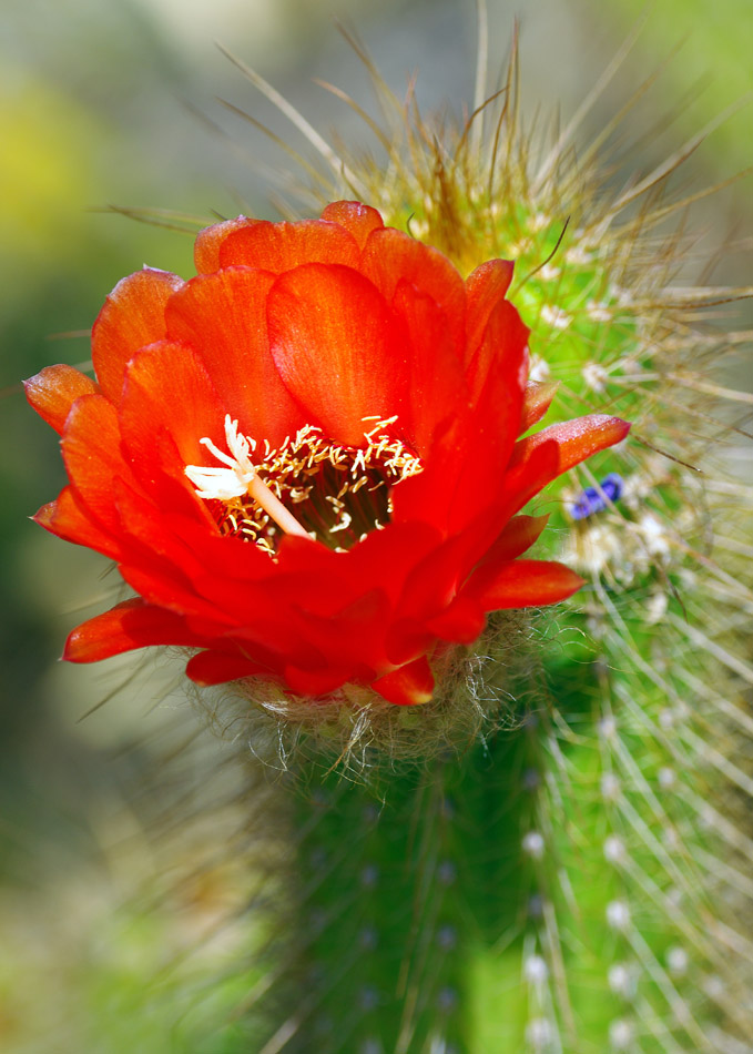 IMGP0877